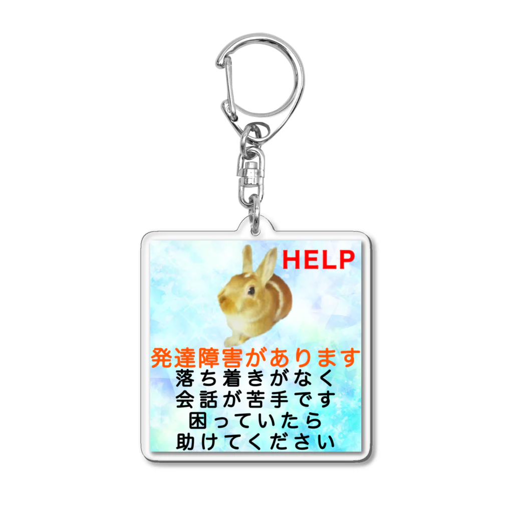 ドライ2のうさぎ　発達障害　多動　会話が苦手　コミュニケーションが苦手 ASD ADHD Acrylic Key Chain