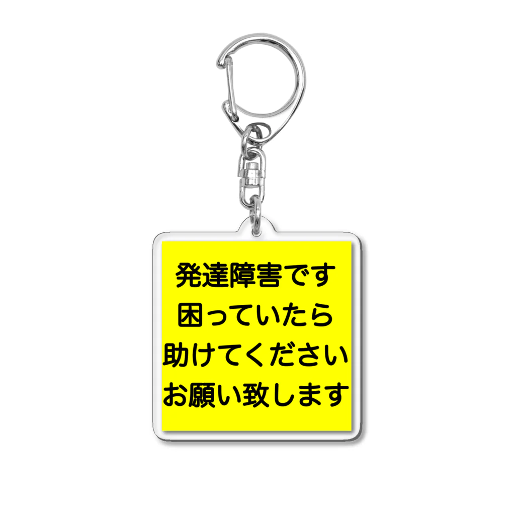 ドライ2の発達障害　ADHD 注意欠陥多動症　注意欠如多動症　ASD 自閉症　自閉スペクトラム症　自閉症スペクトラム　LD 学習障害 Acrylic Key Chain