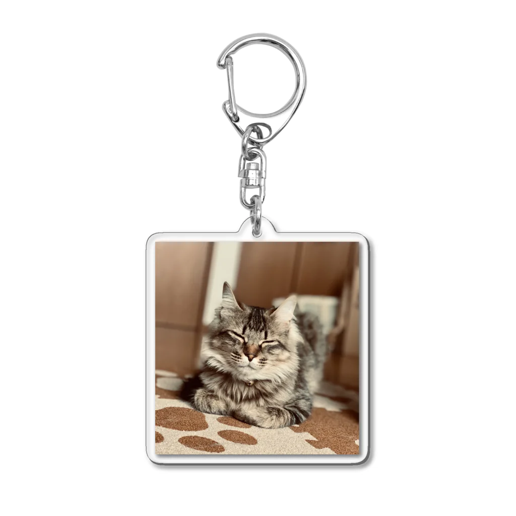 保護猫ファミリーの虎徹コレクション Acrylic Key Chain