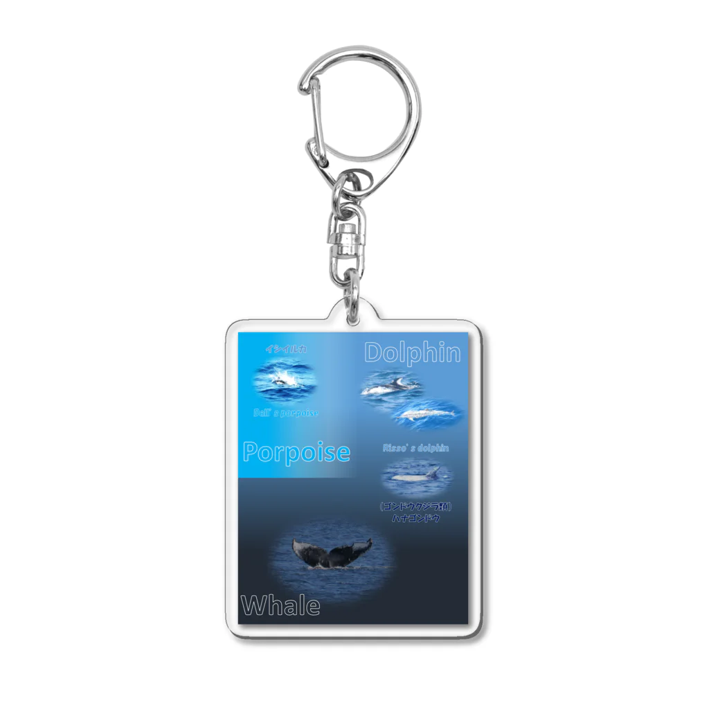 L_arctoaのイルカとクジラの違い Acrylic Key Chain