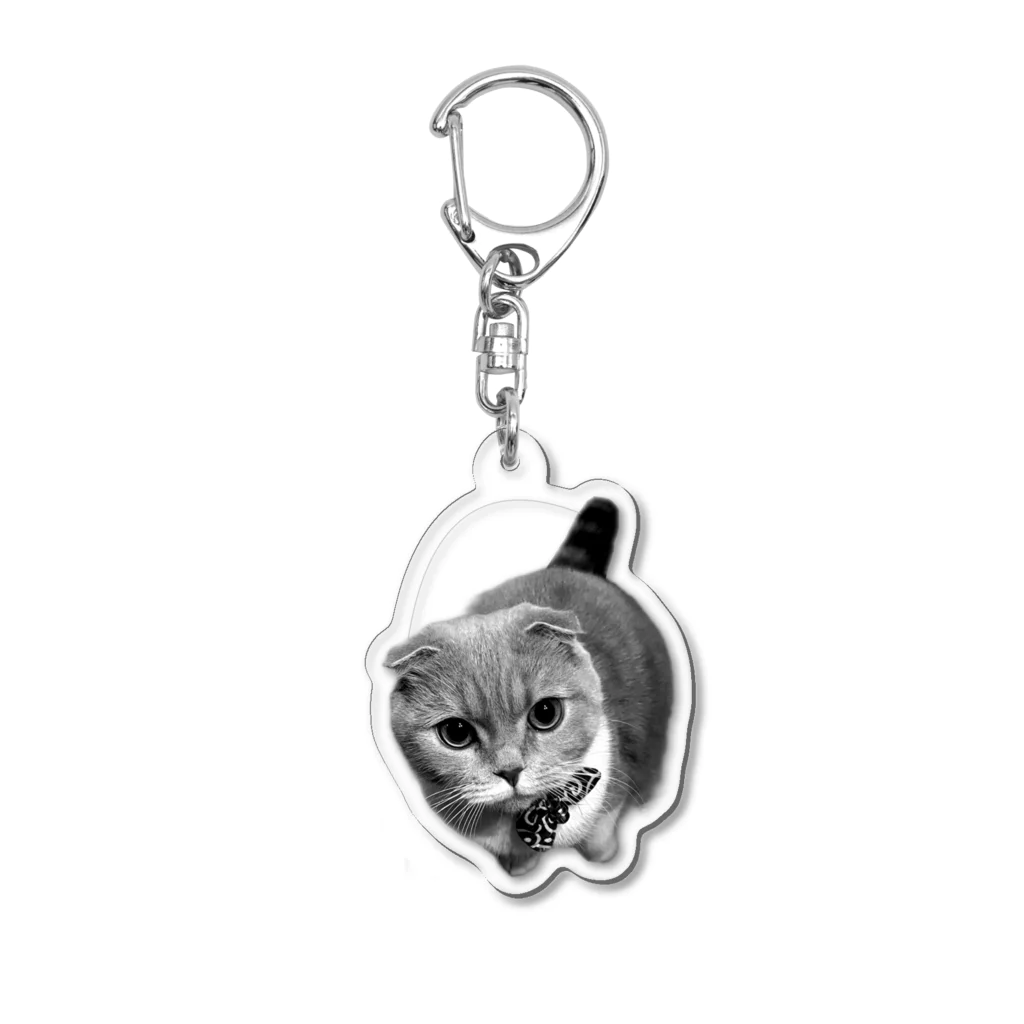 SHOPシャコタン2号店のCAT-8 Acrylic Key Chain