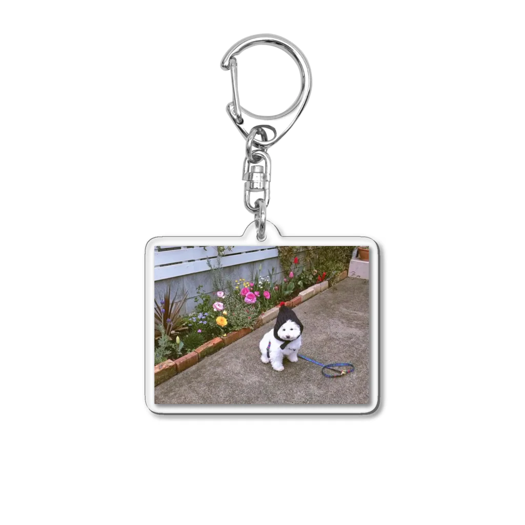 anioのこびといぬちゃん Acrylic Key Chain