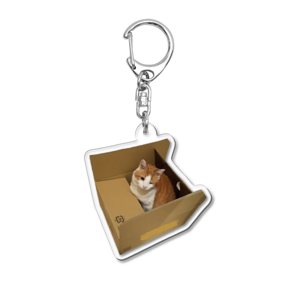 帽子や多帽の箱ねこボーちゃん Acrylic Key Chain