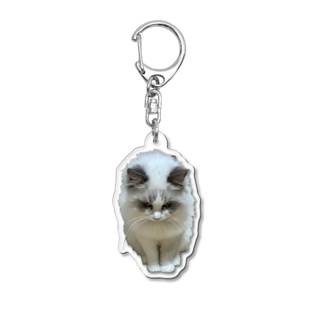 ぱわー!の飼い猫のグッズ4 Acrylic Key Chain