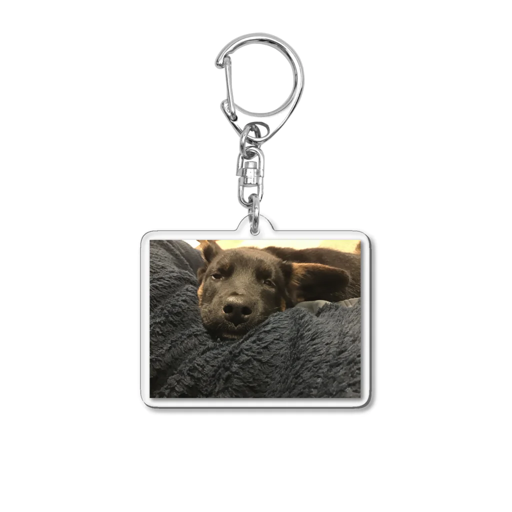 カエルの寝てる犬 Acrylic Key Chain