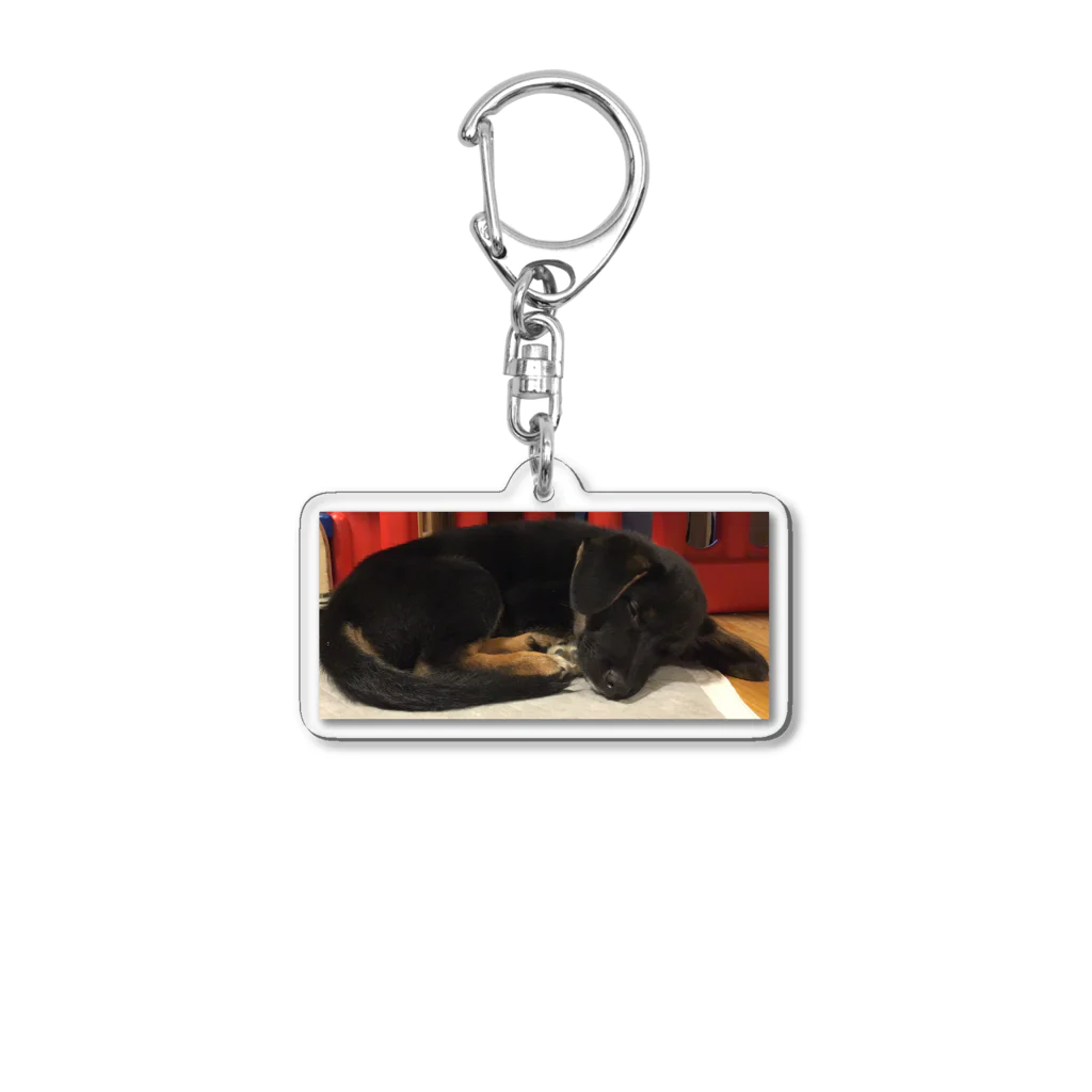 カエルの寝てる犬 Acrylic Key Chain