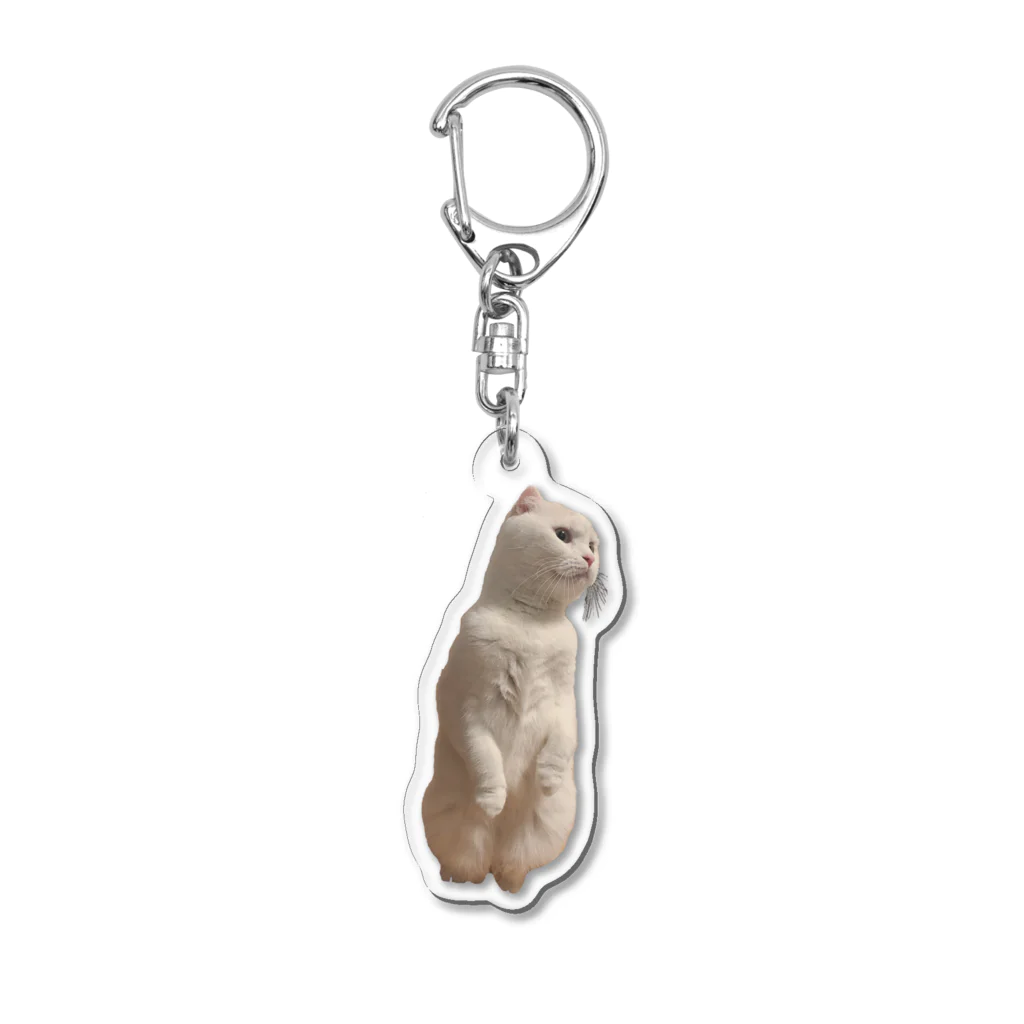 ソイねこもふもふのおこじょそい Acrylic Key Chain