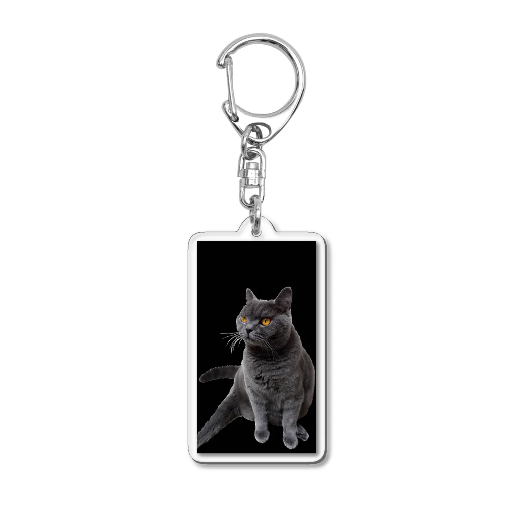 ねこのきまぐれの透けちゃったくつろぎブルー Acrylic Key Chain