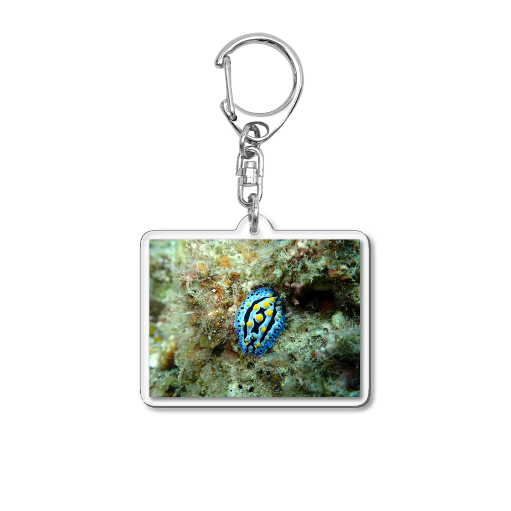 海の家のソライロイボウミウシ Phyllidia coelestis Acrylic Key Chain