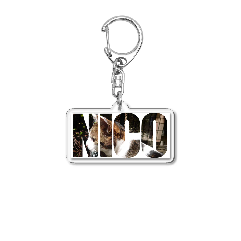 213のネコヅカイ03 Acrylic Key Chain