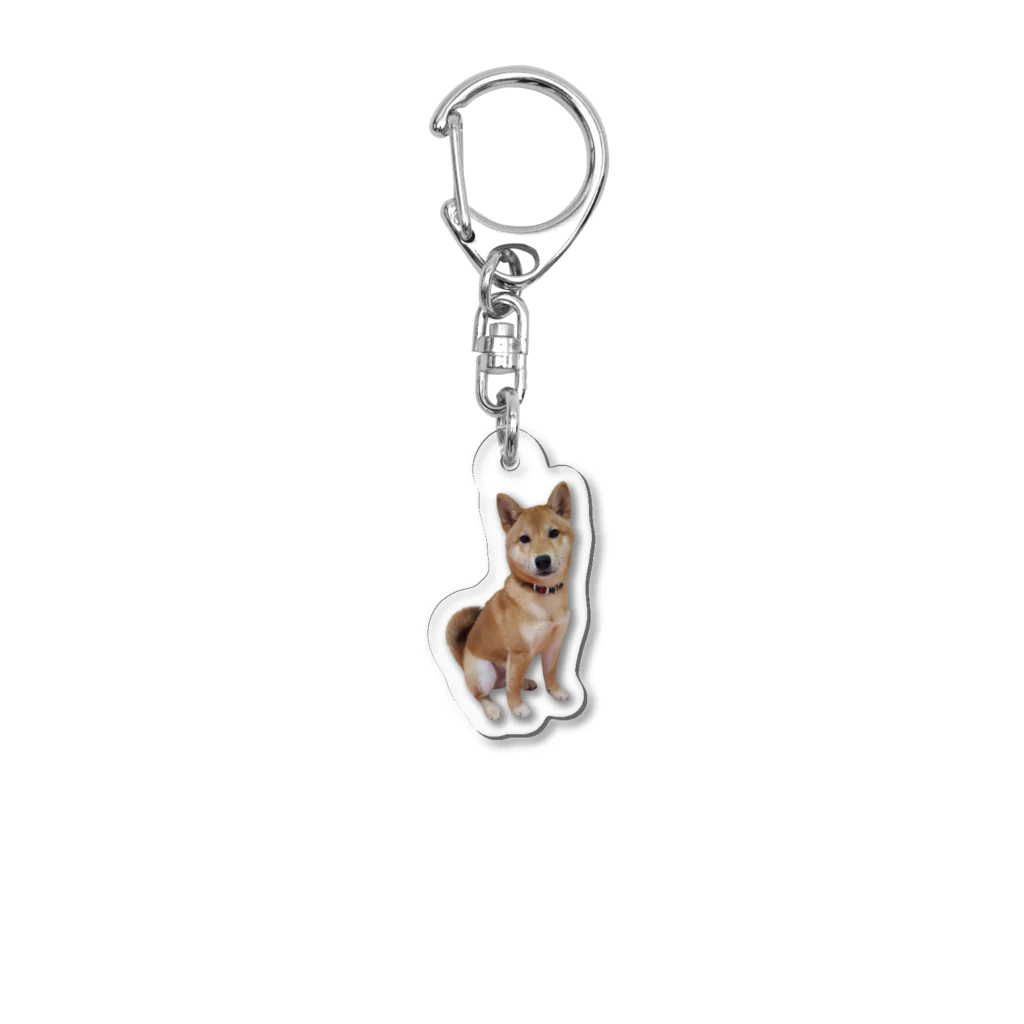 川村さん家の柴犬コロちゃんの柴犬ころちゃん Acrylic Key Chain