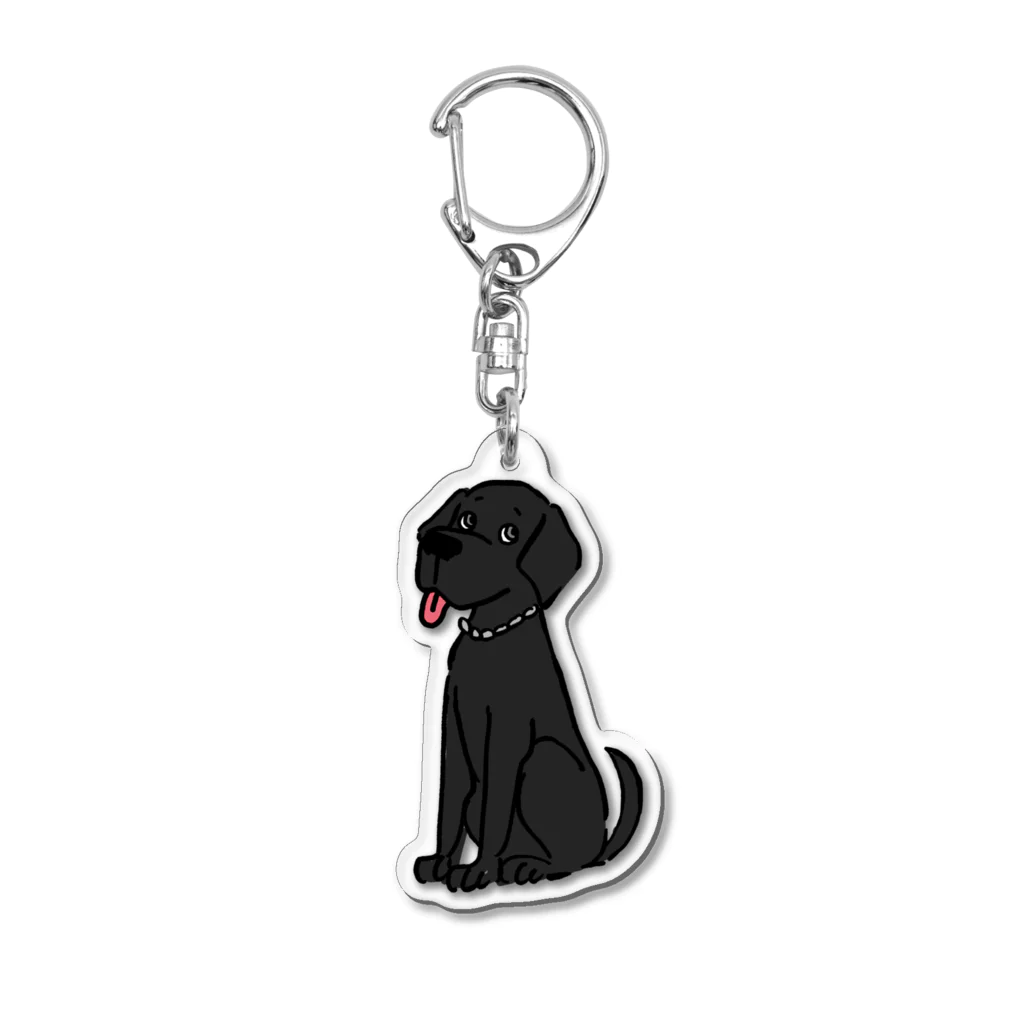 🥀SABRINAのBlacklab🐕‍🦺 Acrylic Key Chain