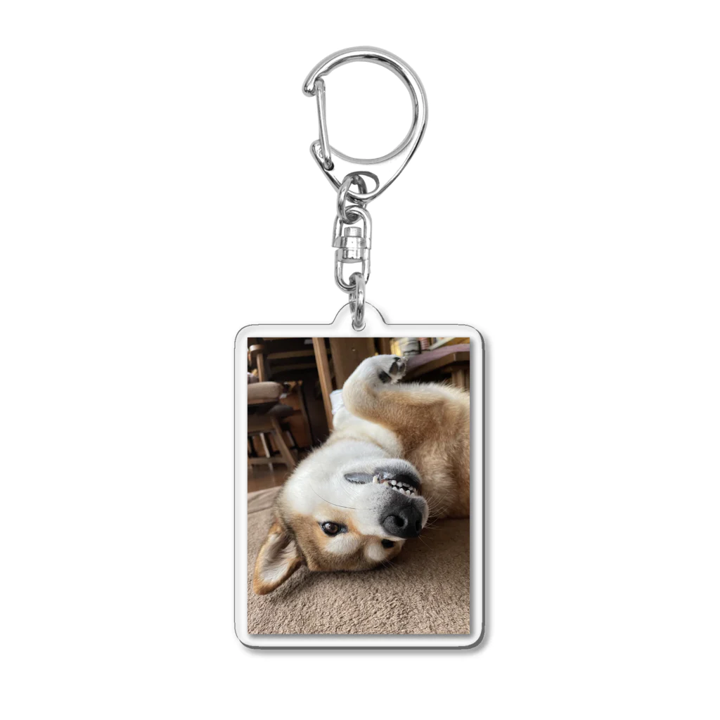 hyogo3000のMugi is Tanuki Acrylic Key Chain