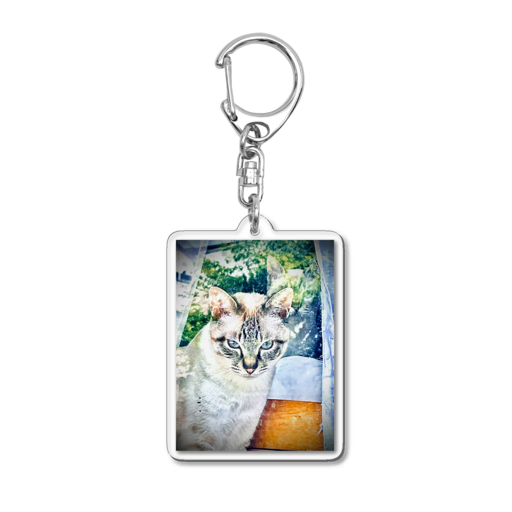 ピリカとカムイの保護猫のカムイ君 Acrylic Key Chain