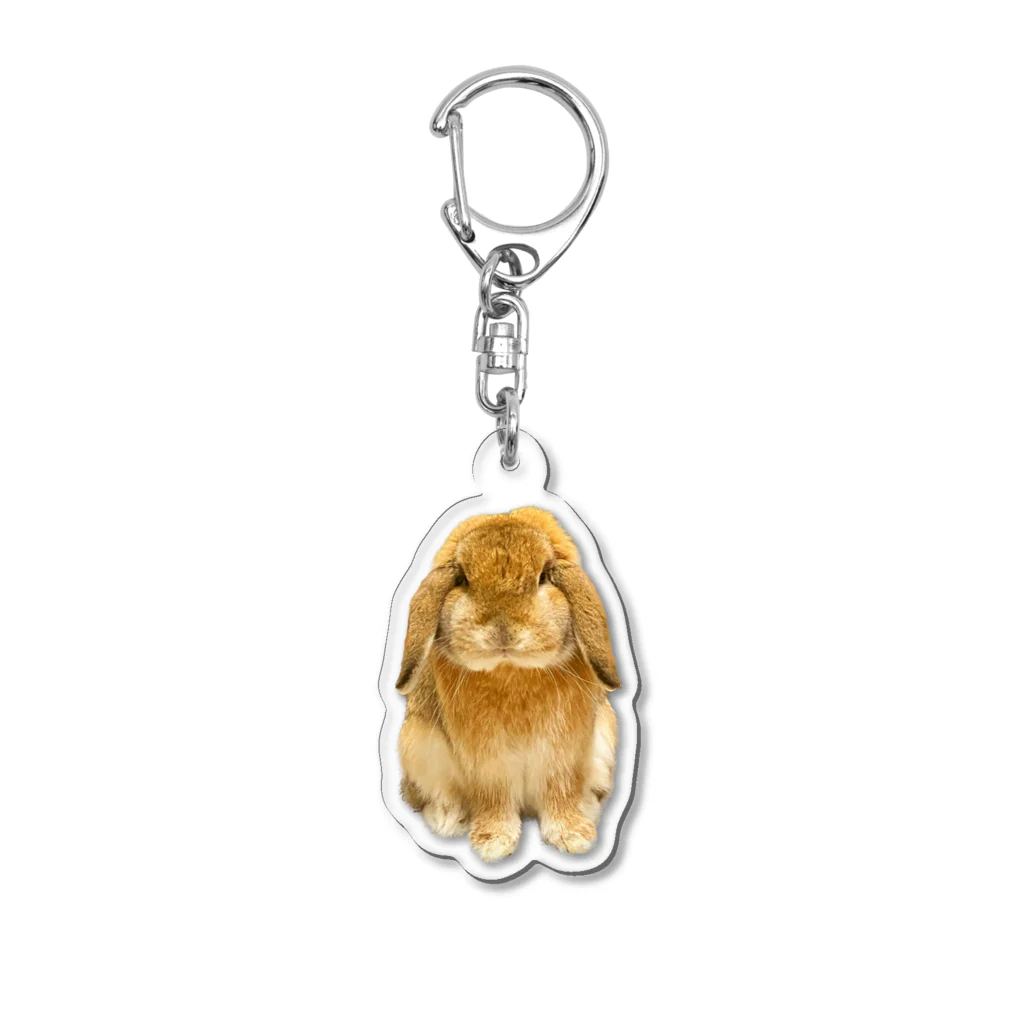 たれ耳うさぎのもこのたれ耳うさぎのもこちゃん Acrylic Key Chain