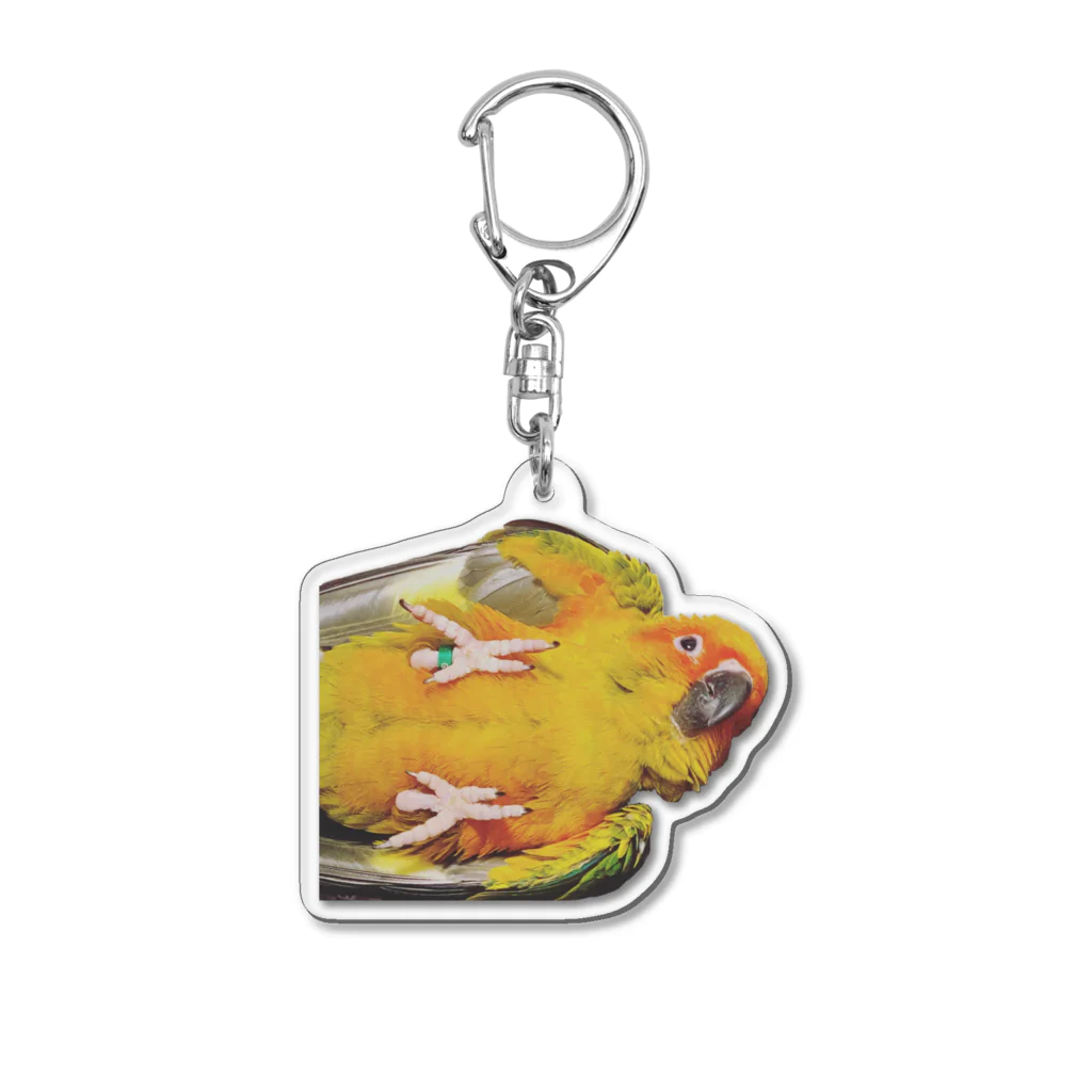 すだかぼの甘えん坊すだち Acrylic Key Chain