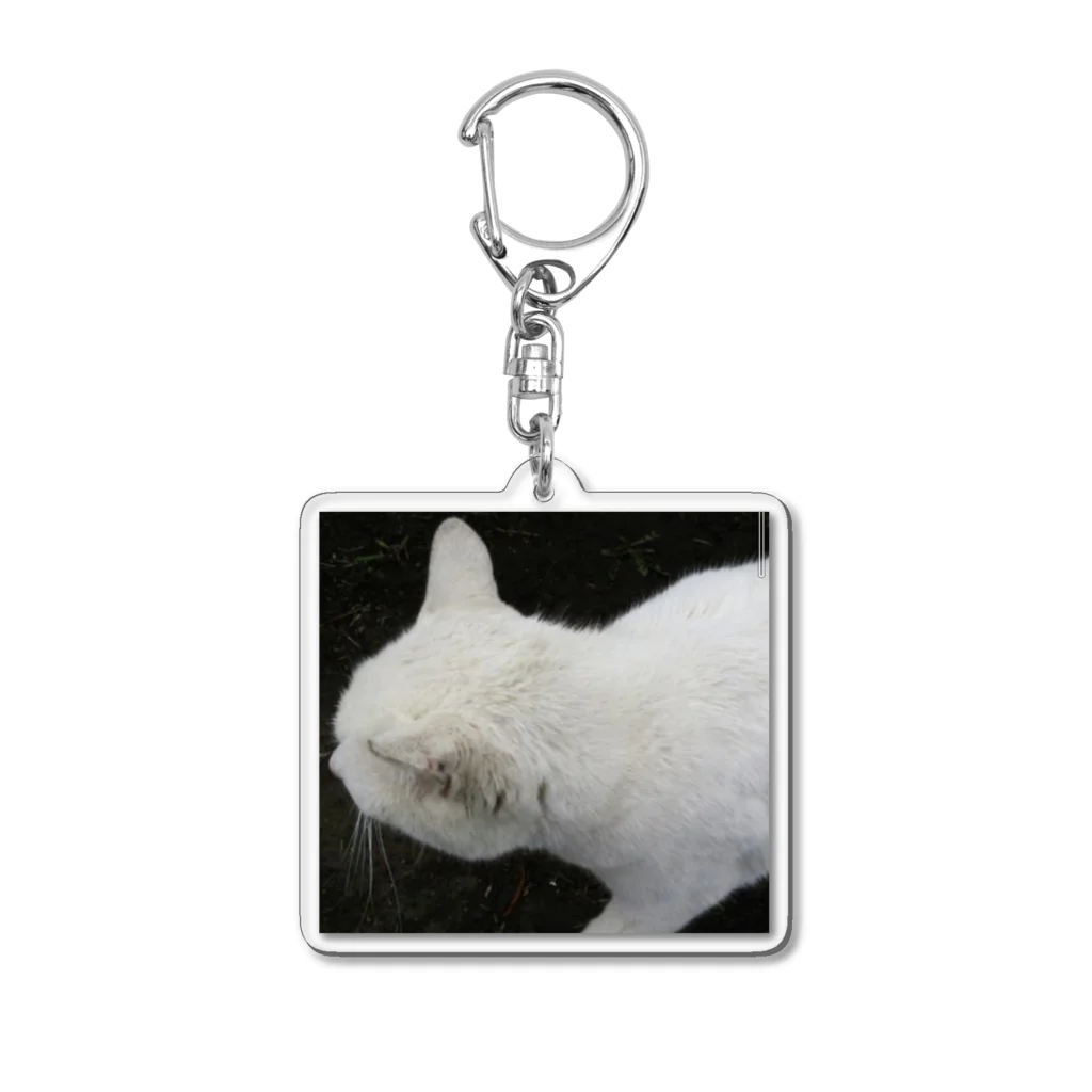 CHERRYSTONE🍒猫眼石検定の白猫 Acrylic Key Chain