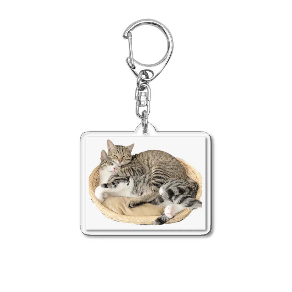 とらんまるSHOPのとらんまるアクキー Acrylic Key Chain