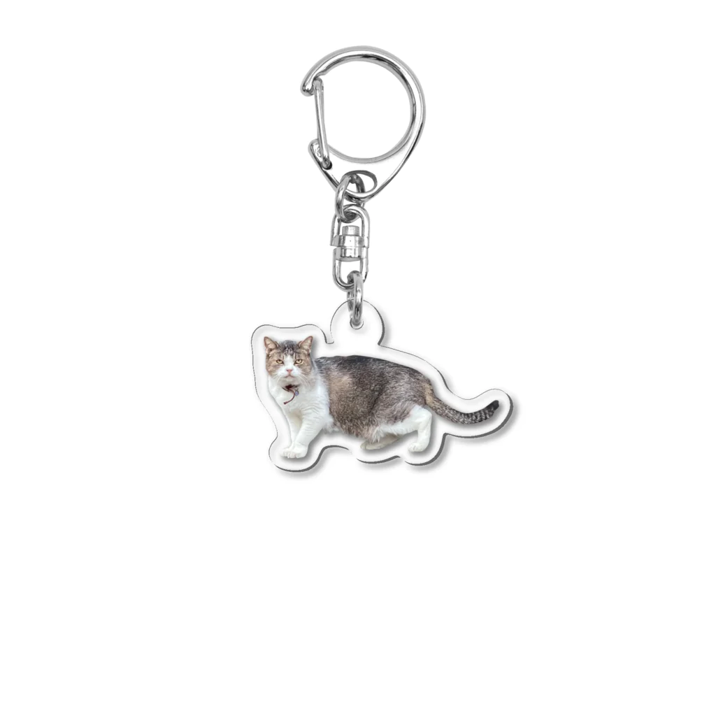 HAL🍭R556Pの造形のおかしい猫 Acrylic Key Chain