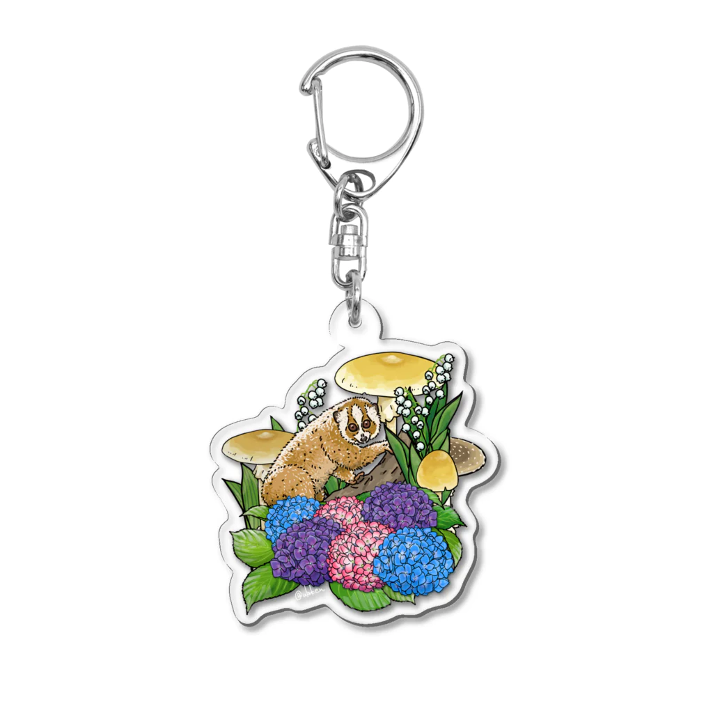 ウラケンストアの有毒動植綵絵スローロリス Acrylic Key Chain