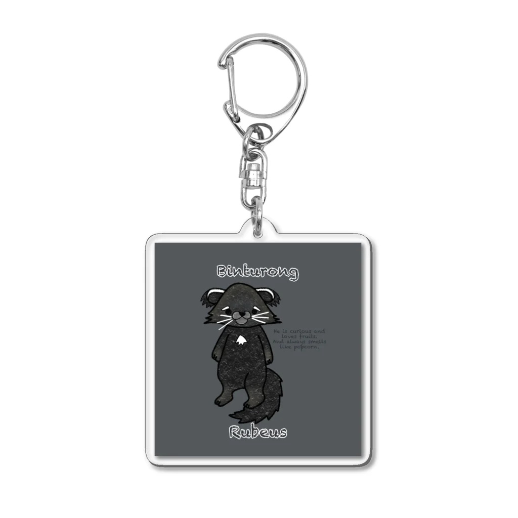 有限会社サイエンスファクトリーのビントロングのルビウス君 Acrylic Key Chain