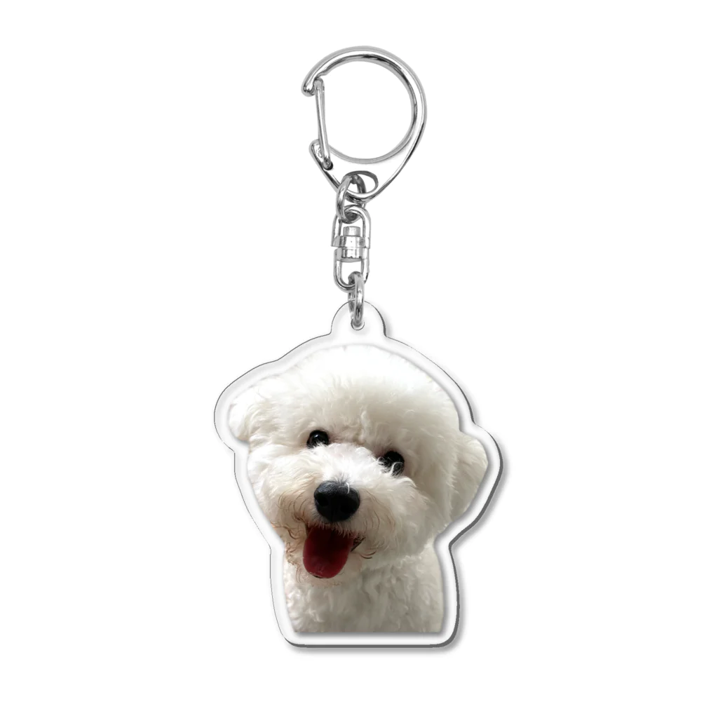 🎀しょっぷ‎‪🎀の犬のキーホルダー Acrylic Key Chain