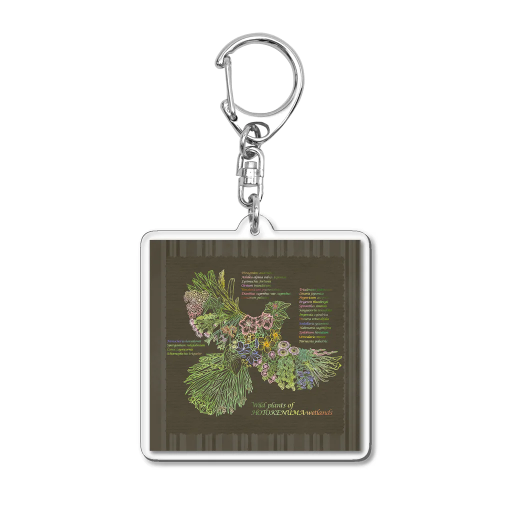 雁花工房（寄付アイテム販売中です）のWild plants of HOTOKENUMA-wetlands（背景ダークグレー） Acrylic Key Chain