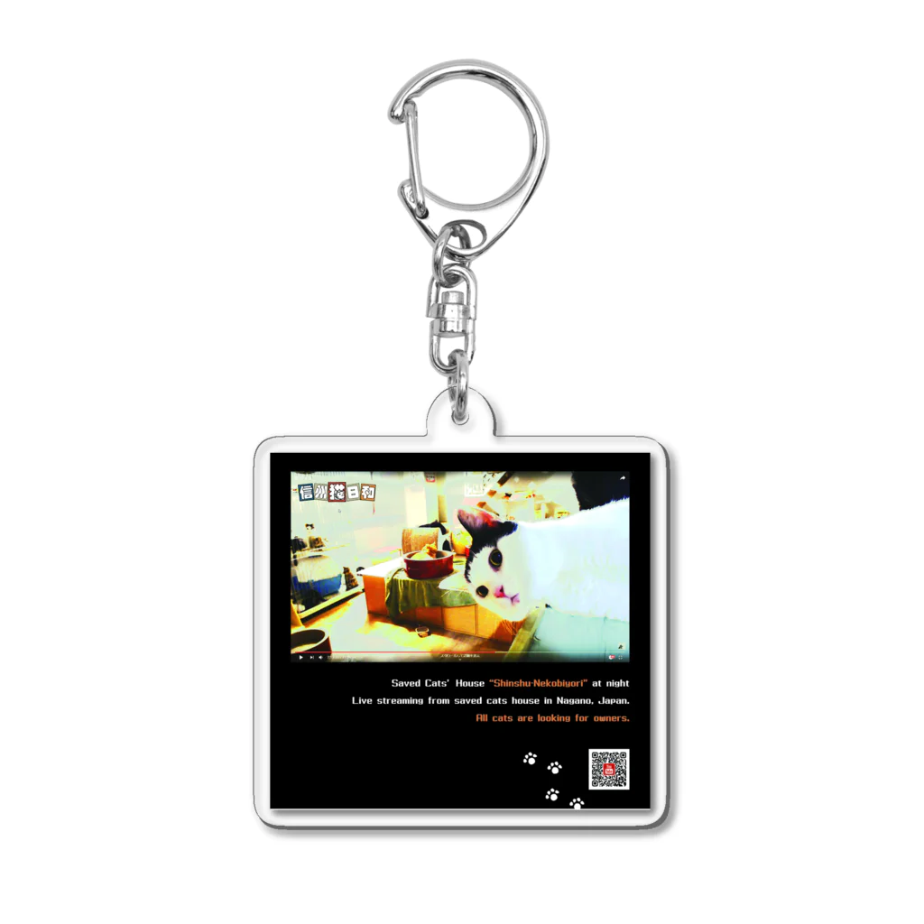 NPO法人信州猫日和 YouTubeチャンネル登録してねのYoutube応援お願いします Acrylic Key Chain