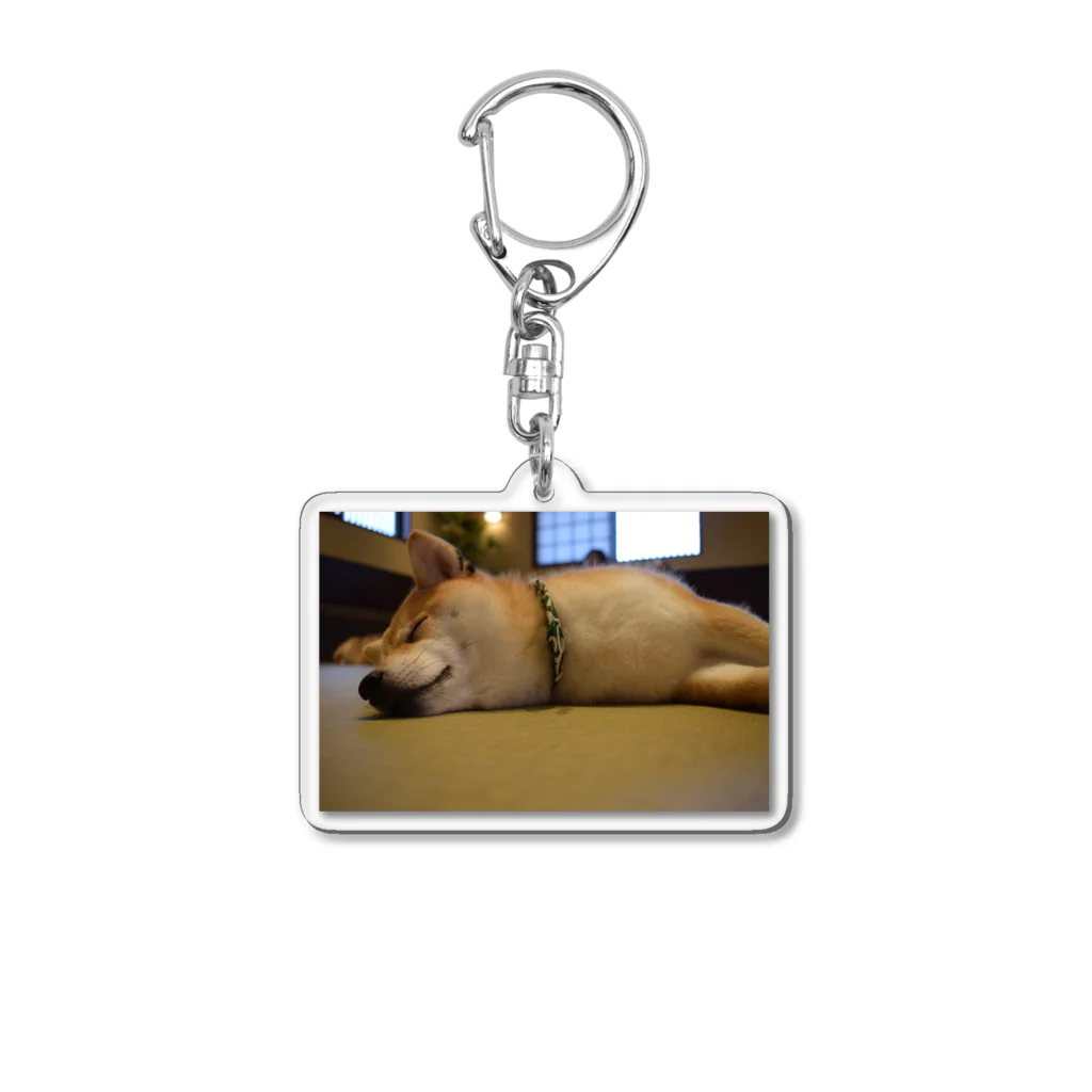 oochan03の柴犬 Acrylic Key Chain