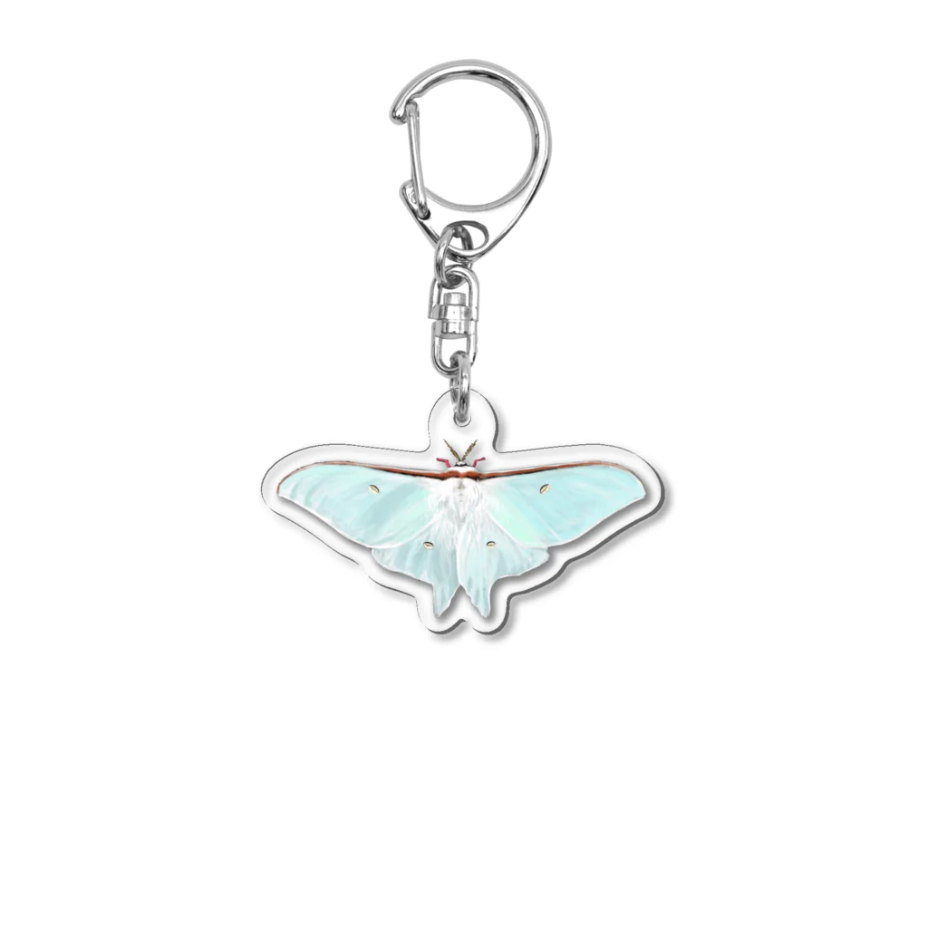 蜱の蛾 Acrylic Key Chain