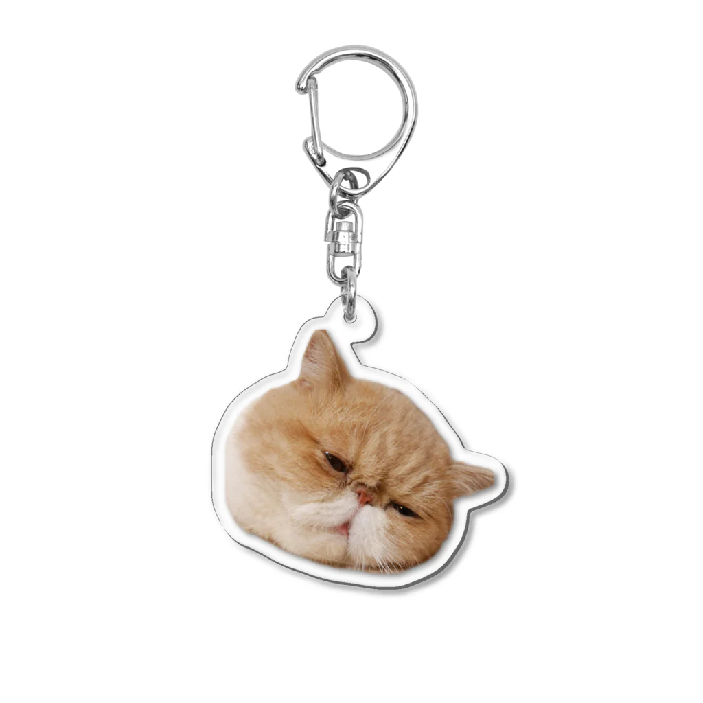 エキゾねこのこたつのエキゾねこのこたつ(溶けてる) Acrylic Key Chain