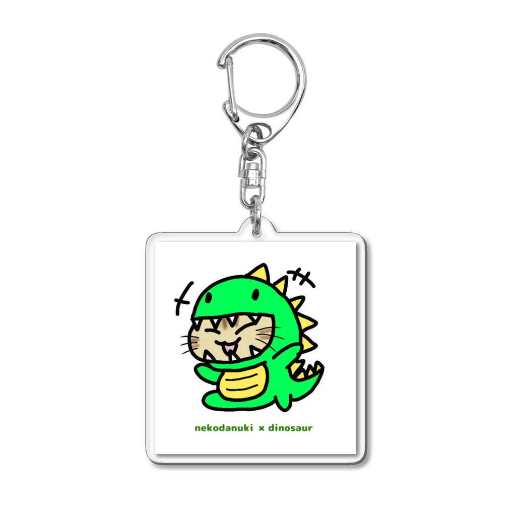 ねこねこにゃんこのねこだぬきザウルス ① Acrylic Key Chain