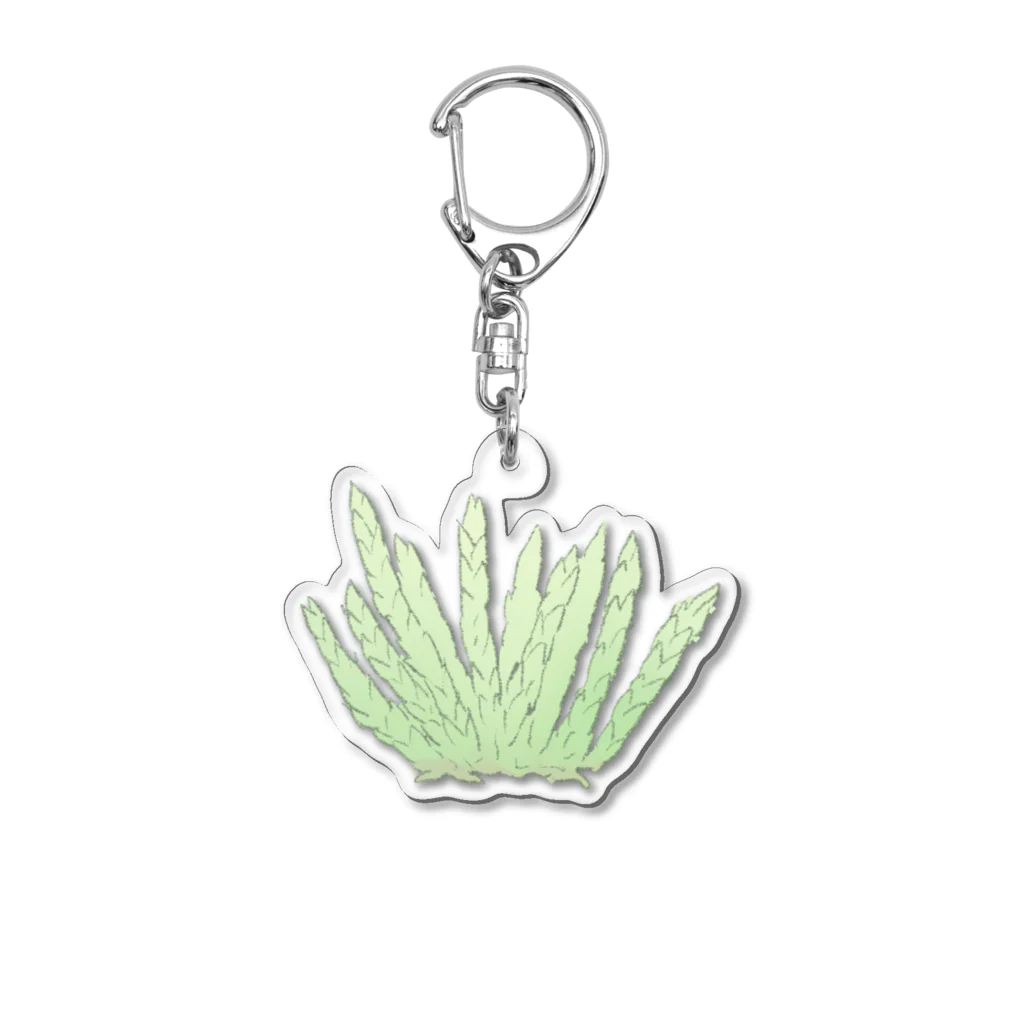 Yuzurium -ユズリウム- 苔テラリウムのネズミノオゴケ【苔グッズ】 Acrylic Key Chain