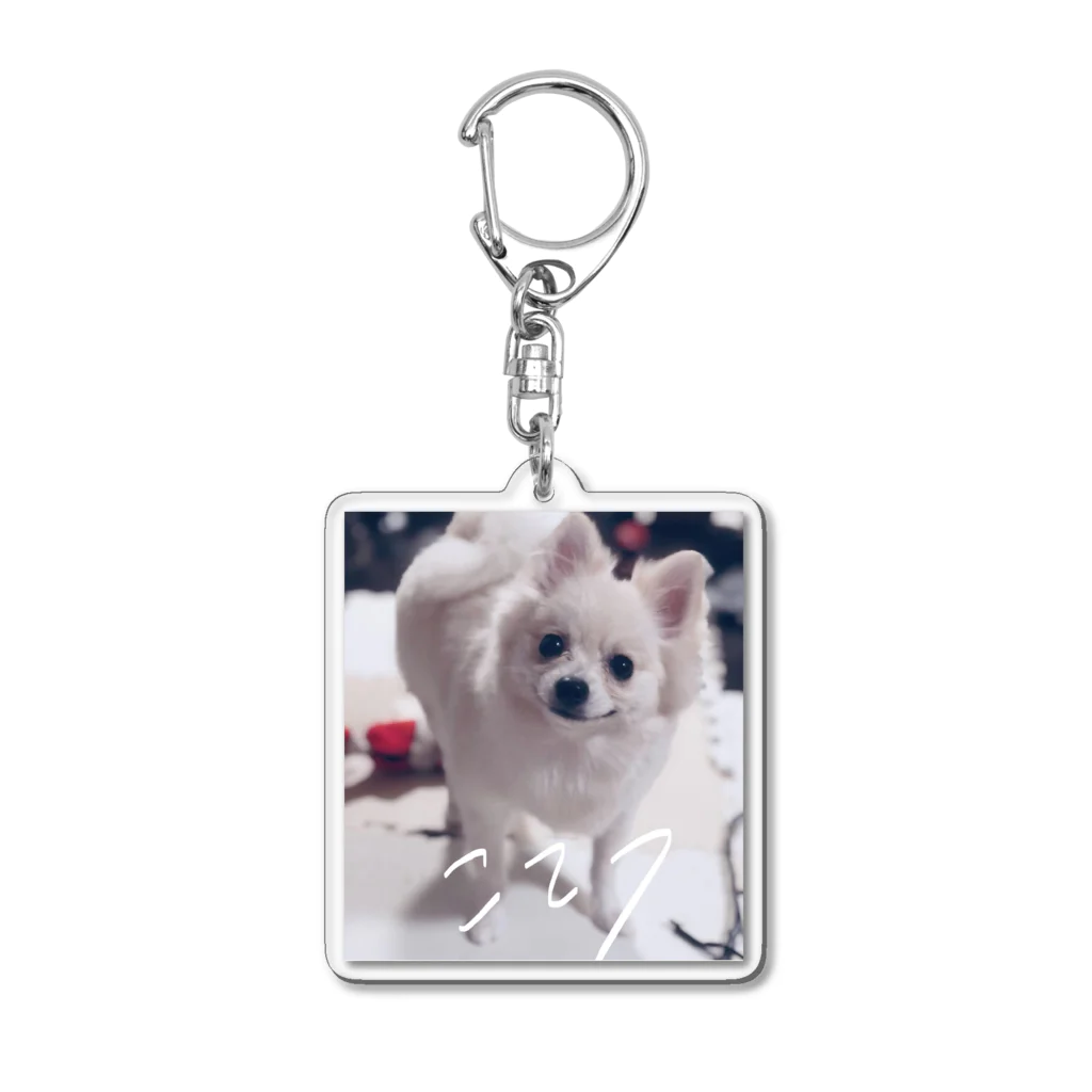 ポメラニアンのこてつのトリミング後のポメラニアン Acrylic Key Chain