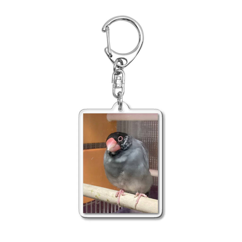 bun666の桜文鳥の文蔵くん Acrylic Key Chain