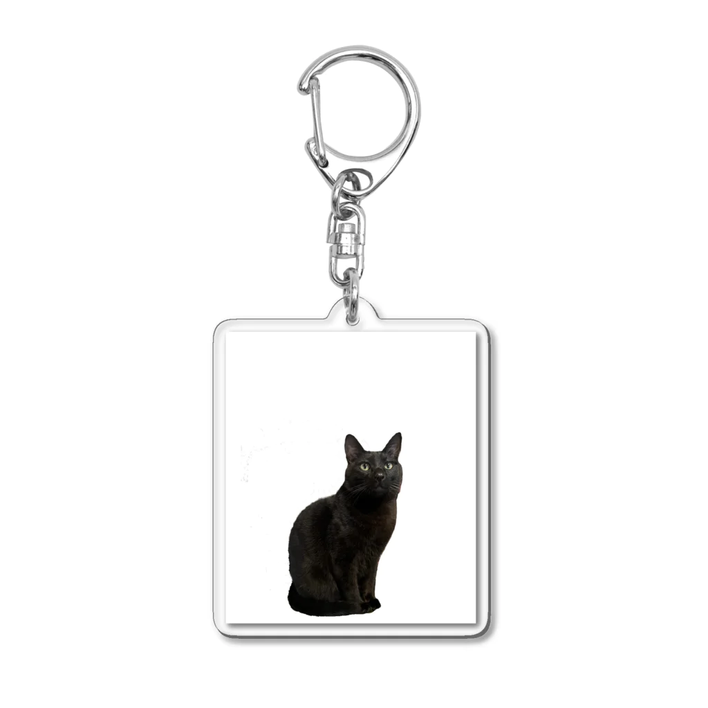 manmarudenのmanmaruden Acrylic Key Chain