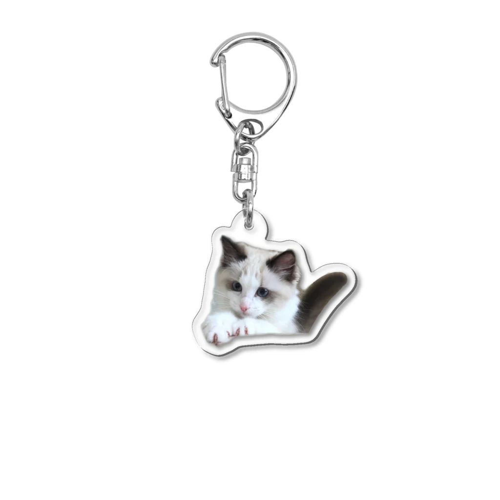 ふみふみの愛猫グッズ♡ Acrylic Key Chain