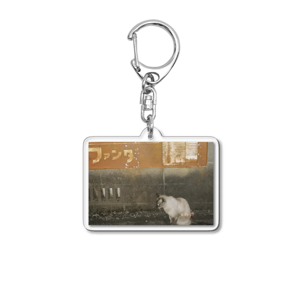 溶けたチーズと三角州のねこ Acrylic Key Chain