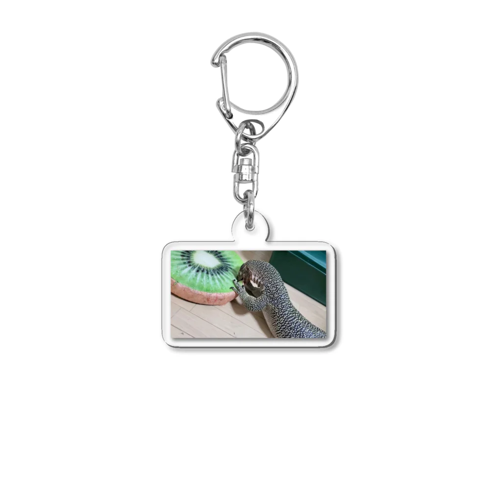 ちゃんねるおミズのおミズぐっず(マングローブモニター) Acrylic Key Chain