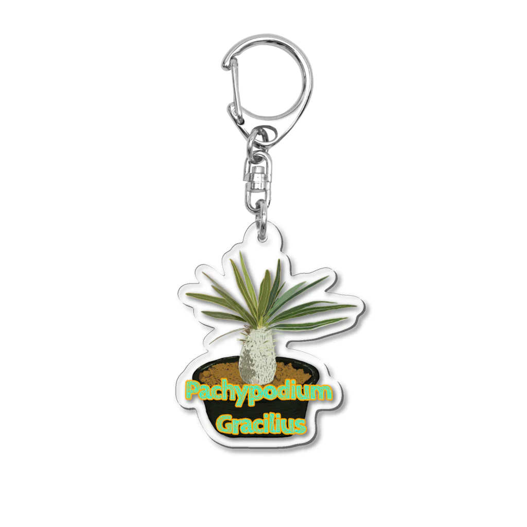 momoのPachypodium Gracilius Acrylic Key Chain