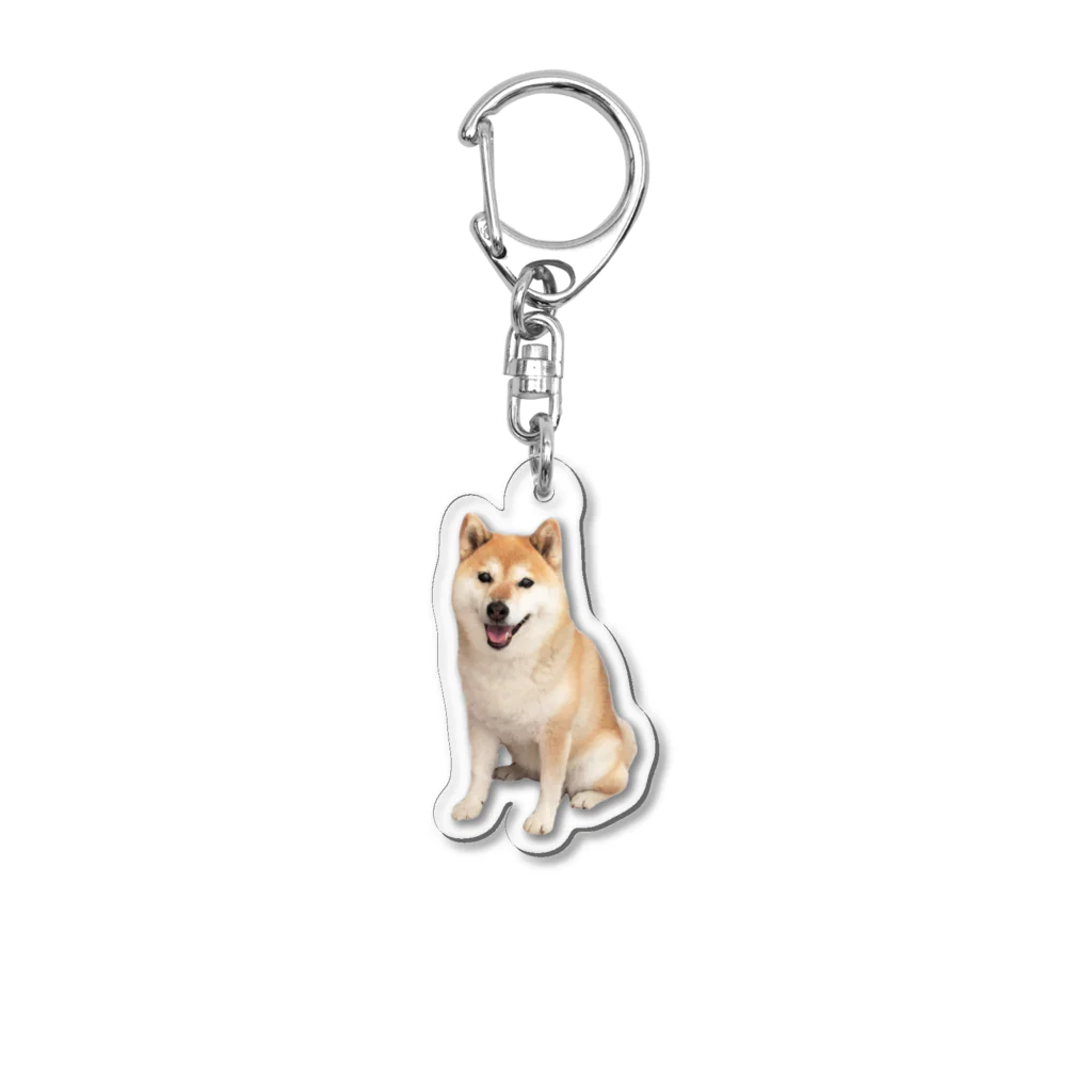 azu azureの柴犬チビちゃん Acrylic Key Chain