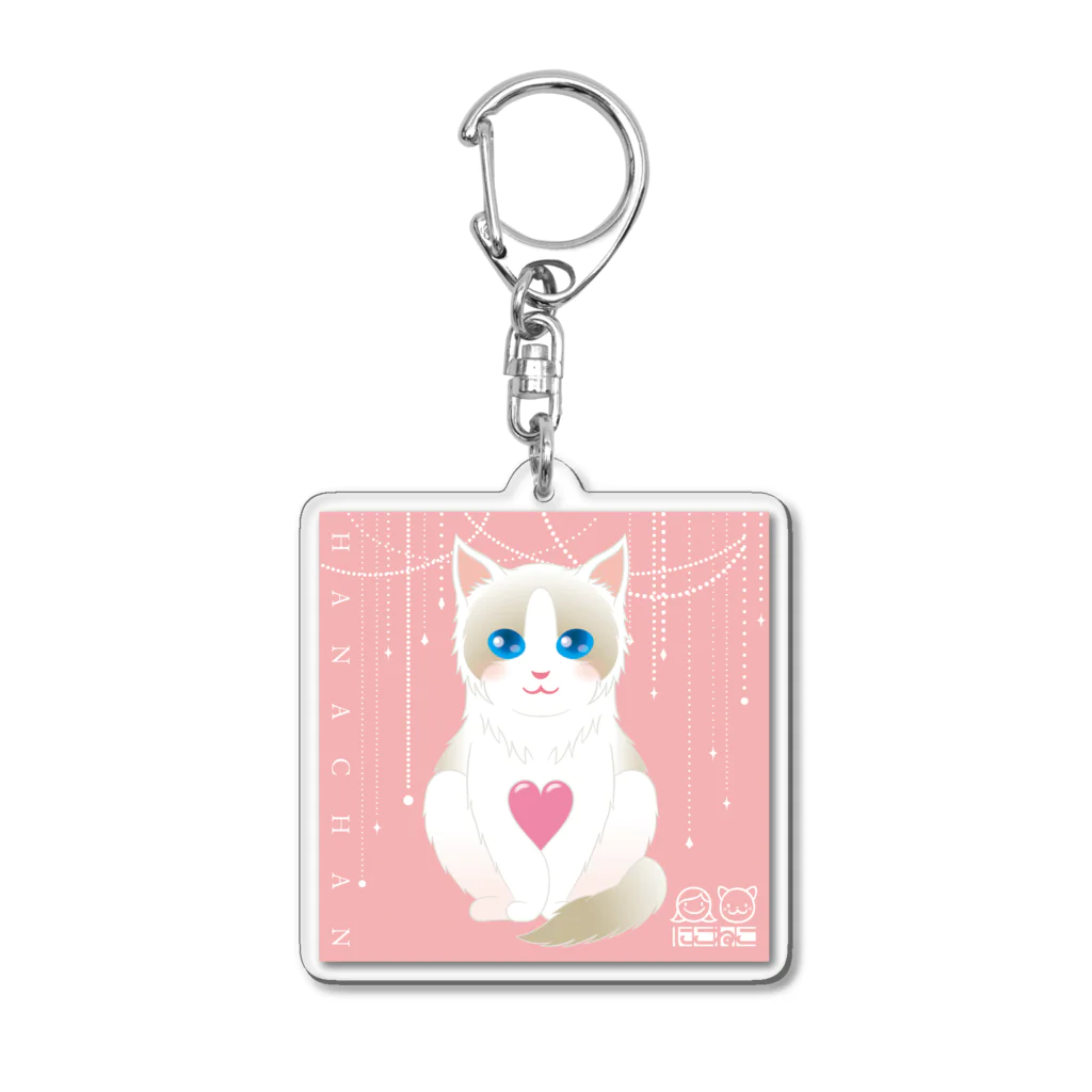 にこねこ【保護猫の保育園】のラグドール華ちゃんキーホルダー Acrylic Key Chain