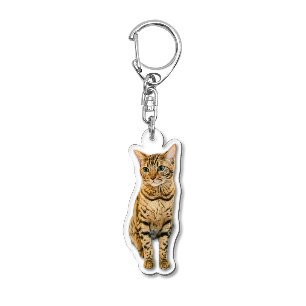 ろべのむぎちゃんグッズ Acrylic Key Chain