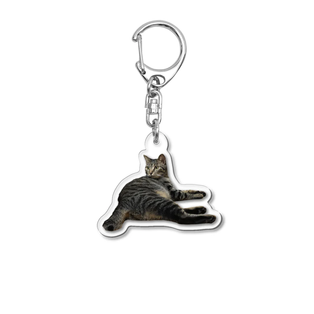 ちびまる一族の乱の猛獣おまるぴぴ Acrylic Key Chain