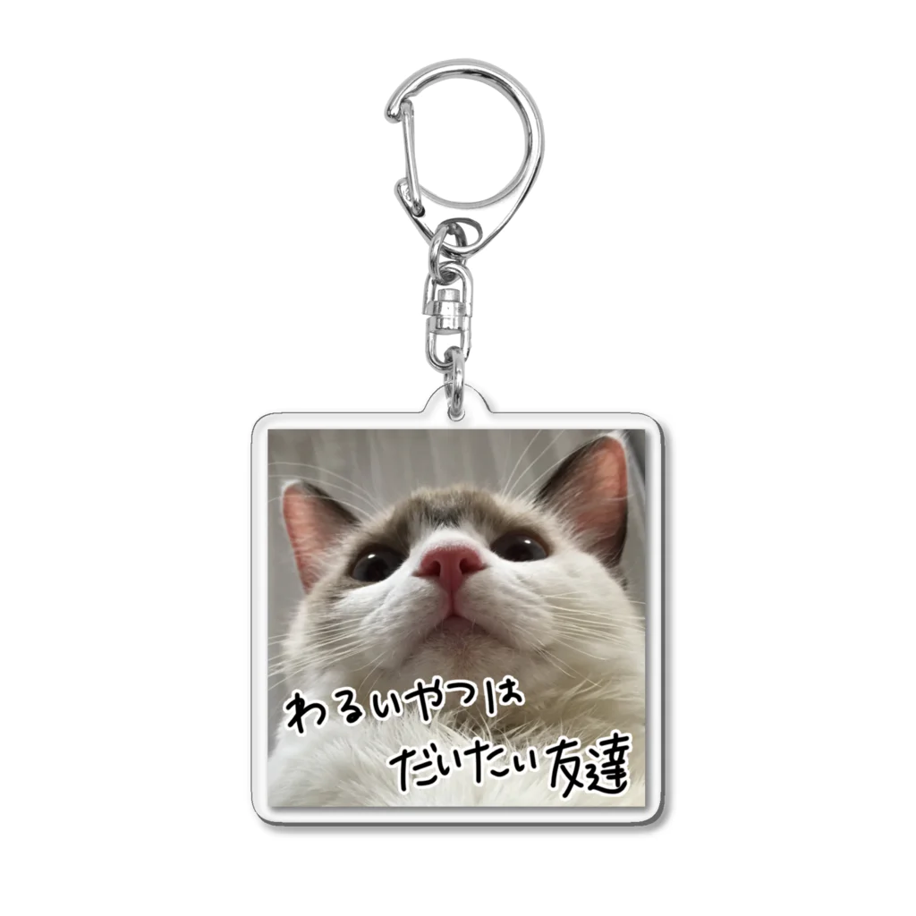 ANAN＠猫ひろしの人🥚🥚の悪いやつは大体友達 Acrylic Key Chain