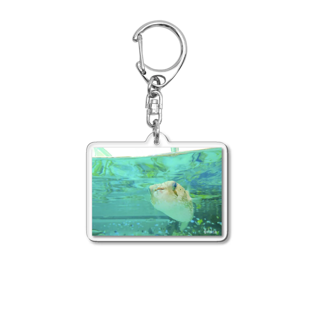 K-aquariumの一生懸命なハリセンボン Acrylic Key Chain