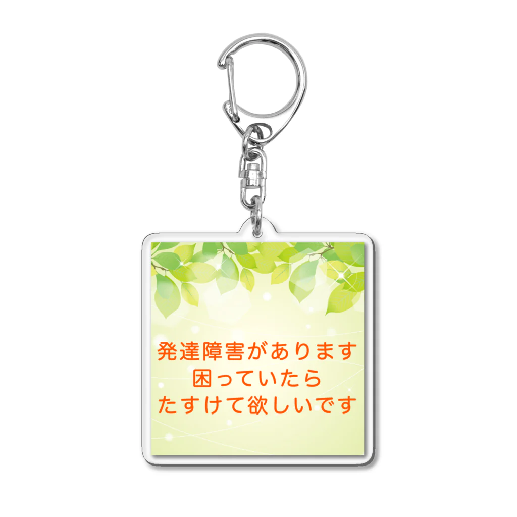 ドライ2の発達障害　発達ゆっくりさん Acrylic Key Chain