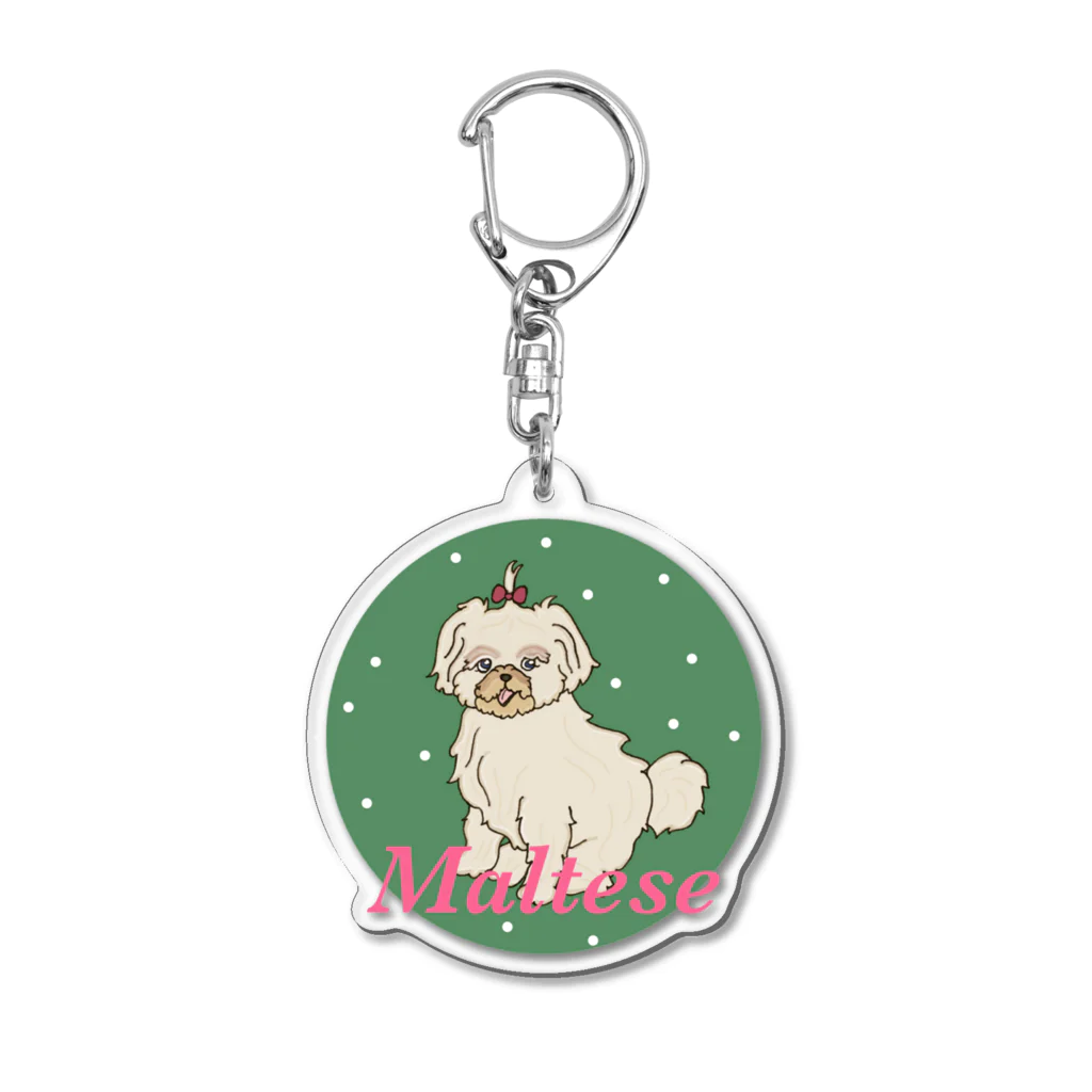 Hinanochin.shopのa maltese Acrylic Key Chain