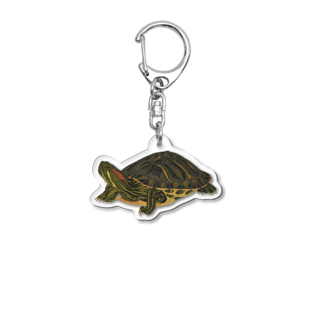 カメの歩みのミシシッピアカミミガメ Acrylic Key Chain