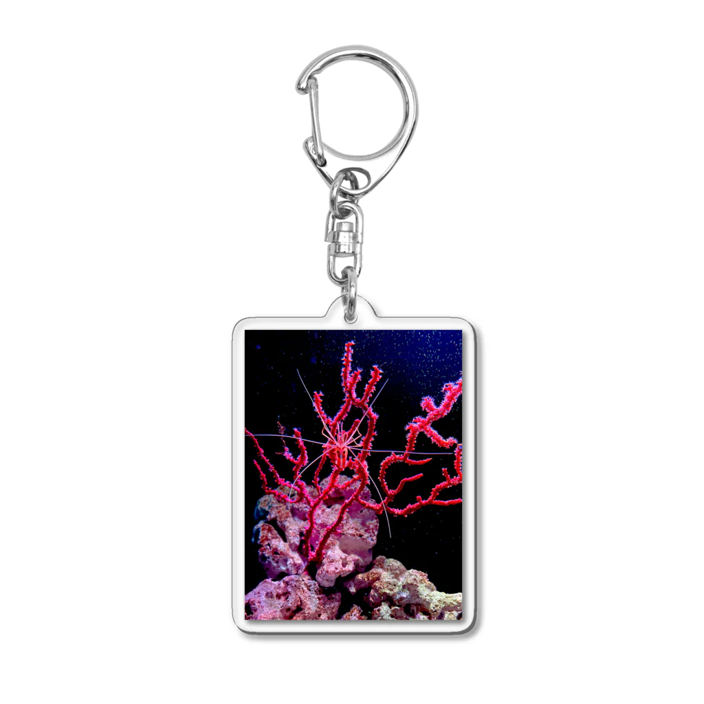 Lilly101のエビと珊瑚 Acrylic Key Chain